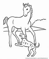 Horse Coloring Pages Dog Colouring Printable Kids Playful Horses Print Sheets Puppy Book Animal Honkingdonkey Different Raisingourkids sketch template