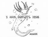 Coloring Axolotl sketch template