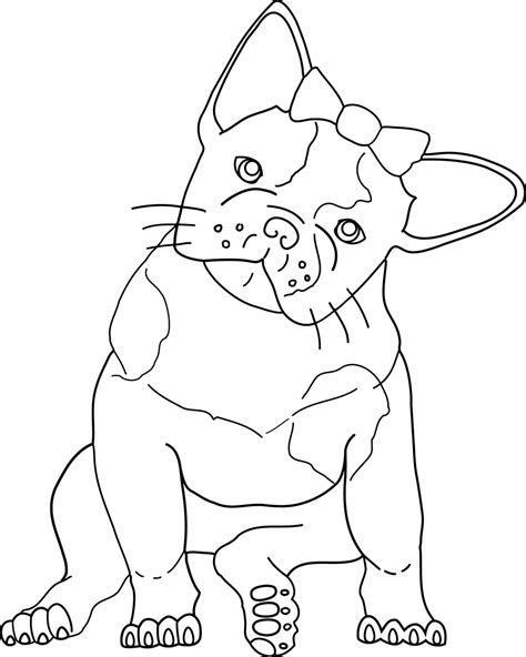 coloring pages  bulldog print color craft