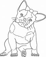 Bulldog Coloring French Pages Printable Dog Bull Drawing Line American Color Template Clipart Kids Getdrawings Print Animals Drawings Popular Library sketch template