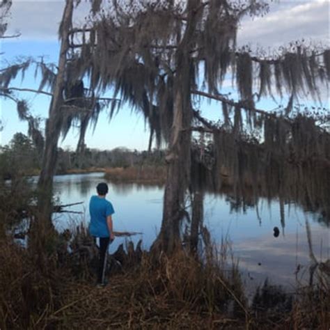 fontainebleau state park    reviews parks  louisiana  mandeville