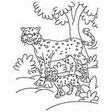 Cheetah Coloring Pages Scenery Ones Little sketch template