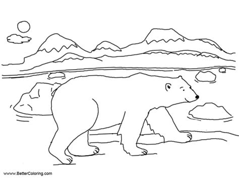 ploar bear  arctic tundra animals coloring pages  printable