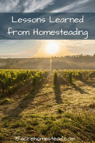 lessons  learned  homesteading  acre homestead