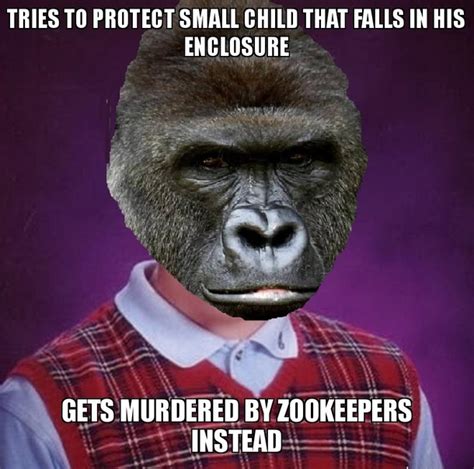 Bad Luck Cincinnati Gorilla Meme Guy