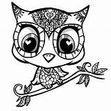 Owl Coloring Pages Adult Owls Kids Cute Adults Mandala Skull Girl Cartoon Sugar Easy Color Girls Print Abstract Printable Difficult sketch template