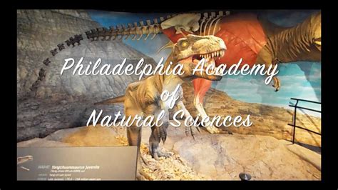 Philadelphia Academy Of Natural Sciences Youtube