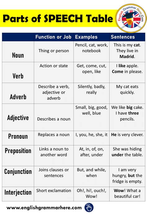 interrogative sentences english grammar