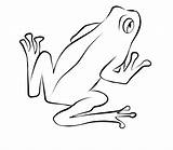 Frog Coloring Pages Printable Cycle Life Tree Frogs Red Animals Eye Drawing Drawings Print Kb Getdrawings Sheets Discover sketch template