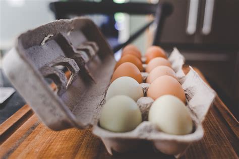pastured eggs   secret ingredient rafter