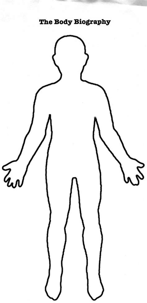 outline   human body picture  human body front