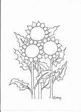 Coloring Sunflowers Sunflower Pages Field sketch template