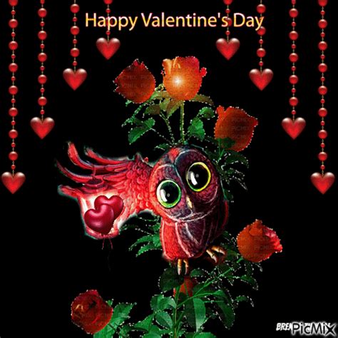 valentine owl pictures   images  facebook tumblr