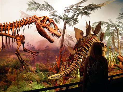 list  dinosaurs paleontology wiki fandom powered  wikia