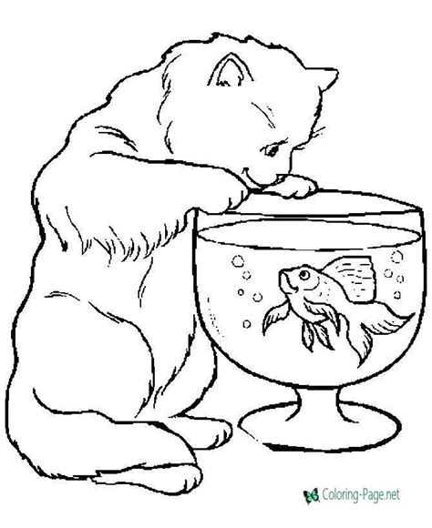 cat  fish animal coloring page