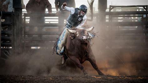 bull riding bullrider cowboy western  extreme bull rodeo