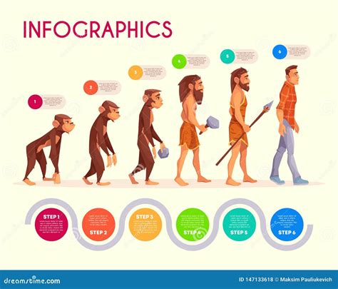 human evolution infographics time  transform stock vector