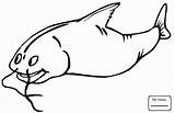 Catfish Coloring Pages Porpoise Drawing Getcolorings Awesome Getdrawings Printable sketch template