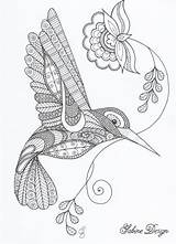 Zentangle Mandala Coloring Pages Bird Hummingbird Para Colorear Happy Drawings Adult Dawanda Dibujos Sabine Van Op Drawing Nl Animals Patterns sketch template