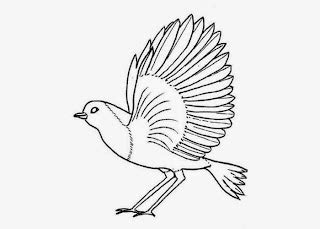 robin coloring page  coloring pages  coloring books  kids