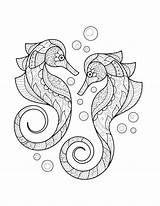 Seahorse Coloring Fai Clic Ingrandire sketch template