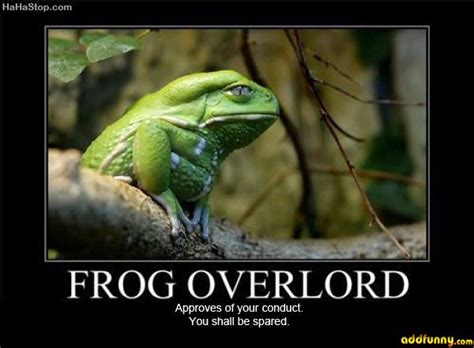 Frog Humor Quotes Quotesgram