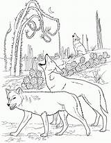 Howling Coyotes Coyote Wolves Lobos Desierto Supercoloring Aullando Kleurplaten Lobo Bezoeken Visiter Book Designlooter Zapisano sketch template