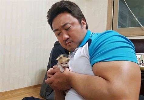 ma dong suk struggles    hold  baby kitten allkpop