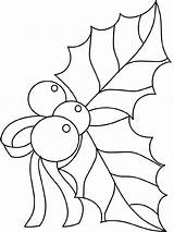 Holly Coloring Pages Leaves Kids sketch template