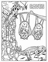 Sheets Coloring Nature Museum Caves sketch template
