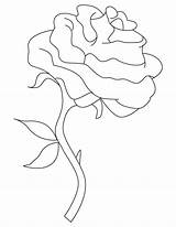 Rose Single Coloring Pages Stem Long Roses Template Getdrawings Drawing sketch template