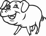 Pig Clipart Color Clipground Outline Clip sketch template