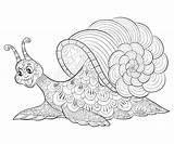 Coloring Snail Adult Book Cute Illustration Relaxing Adults sketch template