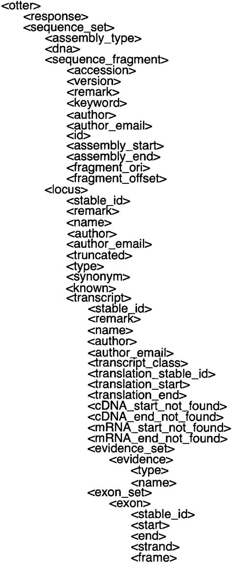 the tags in the otter xml hierarchy for representing genome annotation