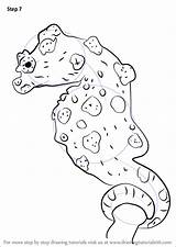 Seahorse Pygmy sketch template