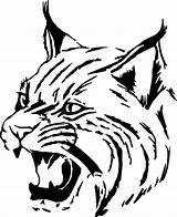 Bobcat Cat Svg Clipart Wildcat Mascot Clip Face Tiger Head Simple Lineart Cliparts Drawing Mammal Wild Animal Library Clipground Clker sketch template