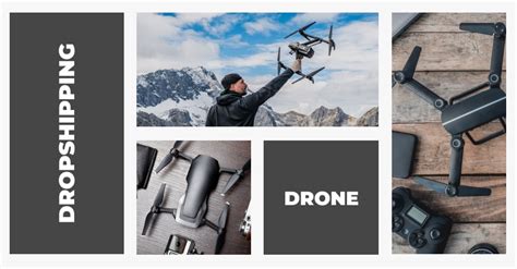 dropshipping drones  profitable nowadays