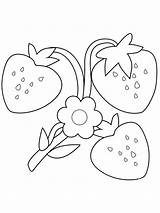 Strawberry Coloring Pages Flower Kids Bestcoloringpagesforkids Preschool Colouring sketch template