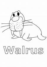 Coloring Animals Arctic Walrus Pages Kids Animal Printable Color Artic Step Worksheets Fox Winter Polar Song Children Print North Seal sketch template
