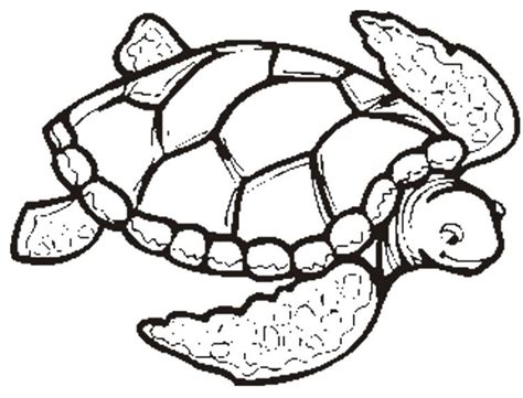 printable turtle coloring pages turtle drawing turtle coloring