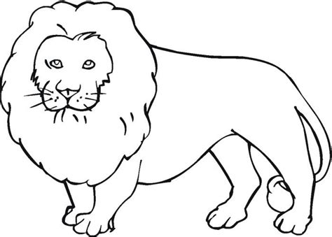 animals coloring pages  lion coloring pages lion coloring lion