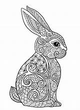 Coloring Bunny Pages Adults Rabbit Adult Printable Print Color Getcolorings sketch template