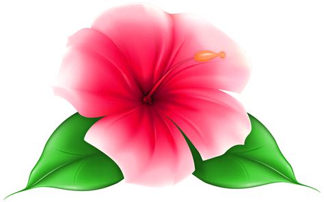 clipart flower png   cliparts  images  clipground