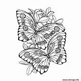 Papillon Mariposa Coloriages Colorier Printablefreecoloring Fois Imprimé sketch template
