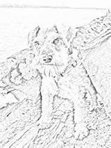 Schnauzer Coloring Getcolorings Schnauzers Colouring sketch template