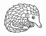 Pangolin Coloring Colorear Coloringcrew Pages Woods User Registered Colored Book Template sketch template