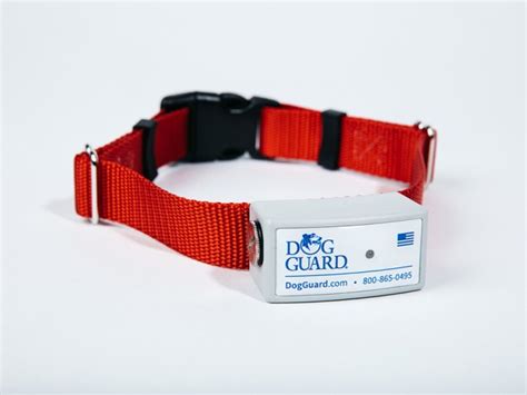 complete collarreceiver dog guard midwest