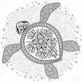 Coloring Book Pattern Turtle Decorative Stock Illustration Graphic Vector Pages Kids Tattoo Adults Depositphotos sketch template