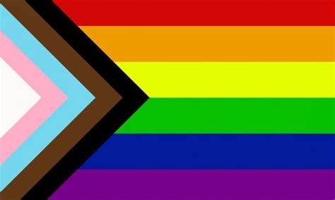 17 Of The Most Commonly Used Lgbtq Pride Flags And Their