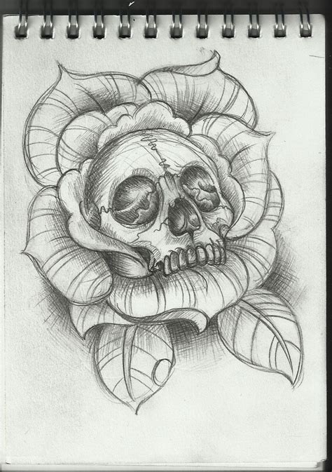 Skull And Rose Sketch At Explore Collection Of